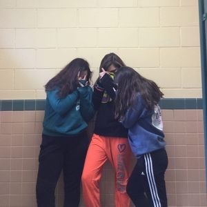 Meet your Posher, Riley